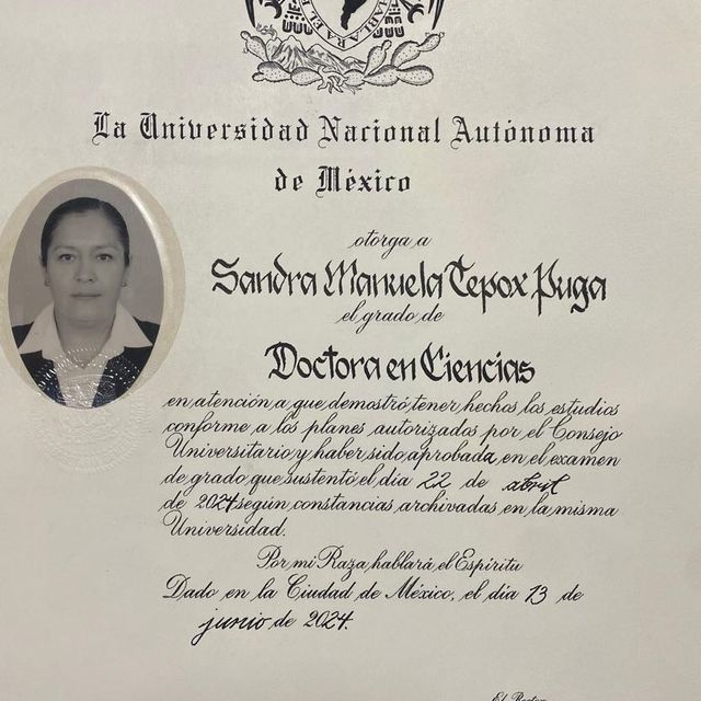 Ampliar imagen: certificate 4