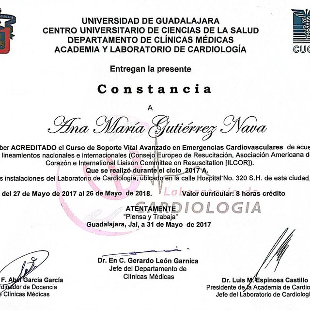 Ampliar imagen: certificate 11