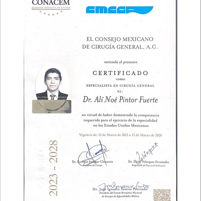Ampliar imagen: certificate 1