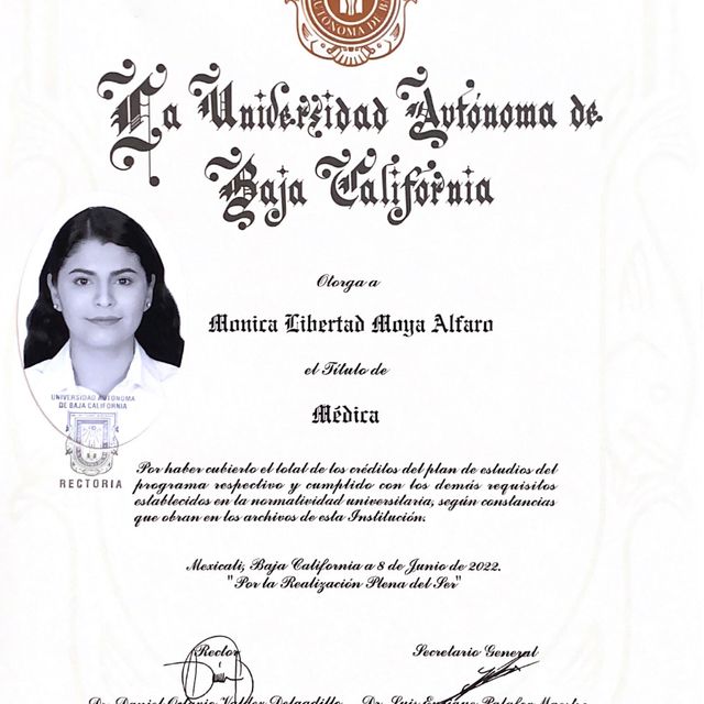 Ampliar imagen: certificate 3