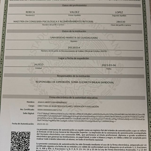 Ampliar imagen: certificate 1