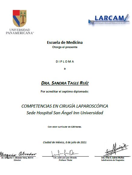 Ampliar imagen: certificate 2