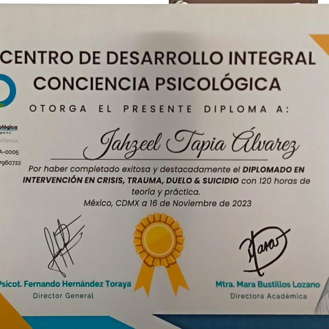 Ampliar imagen: certificate 10