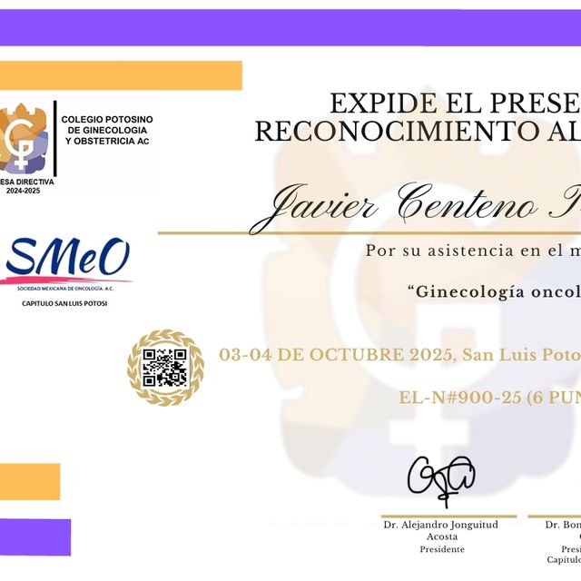 Ampliar imagen: certificate 7