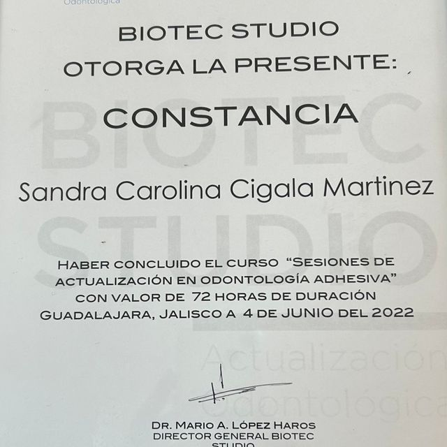 Ampliar imagen: certificate 2