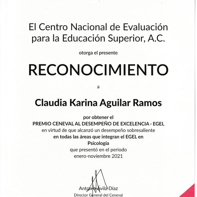 Ampliar imagen: certificate 2