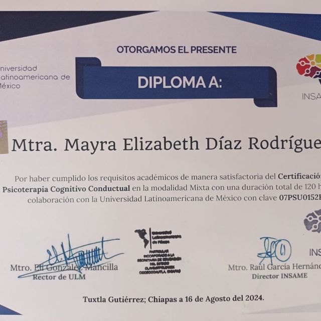 Ampliar imagen: certificate 7