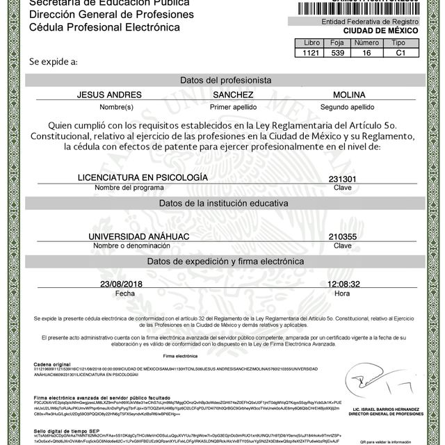 Ampliar imagen: certificate 1