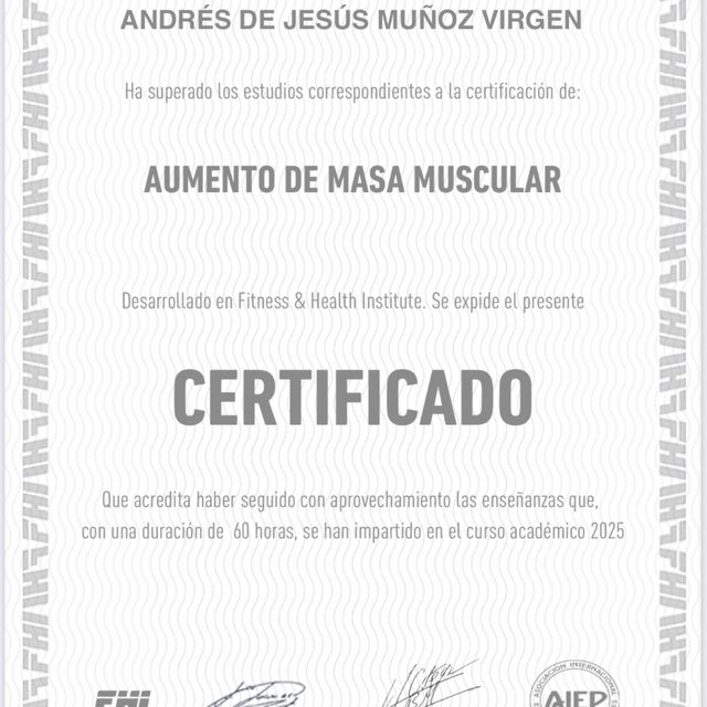 Ampliar imagen: certificate 13