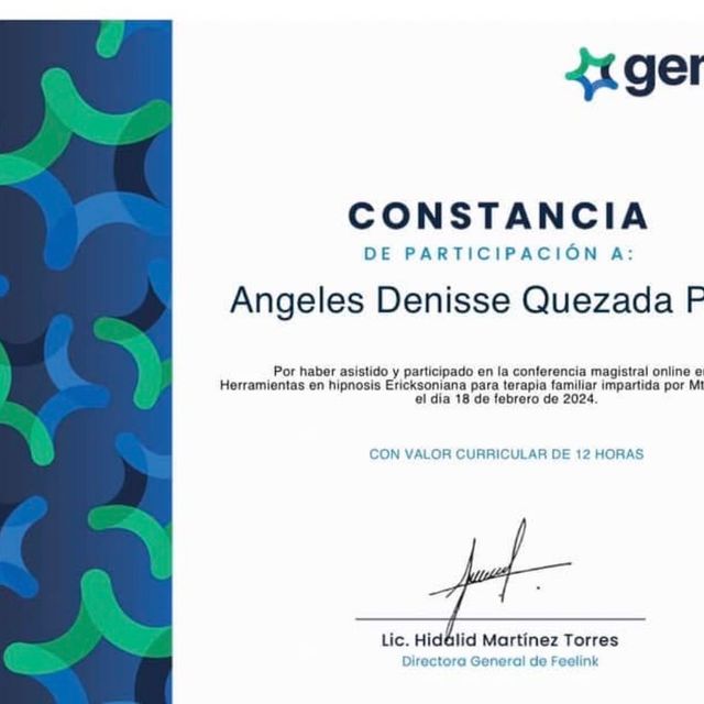 Ampliar imagen: certificate 7