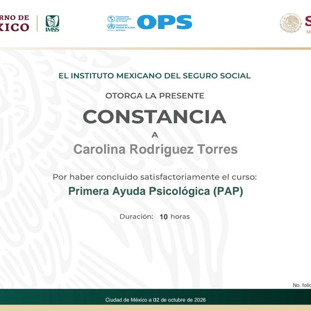 Ampliar imagen: certificate 2