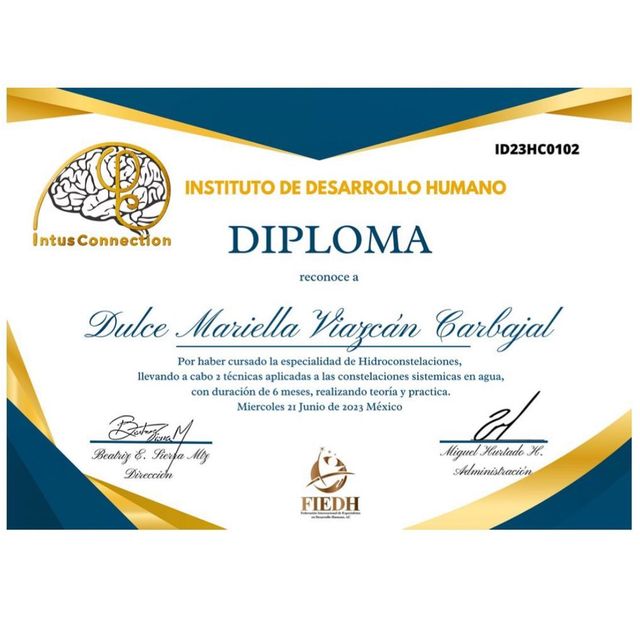 Ampliar imagen: certificate 4