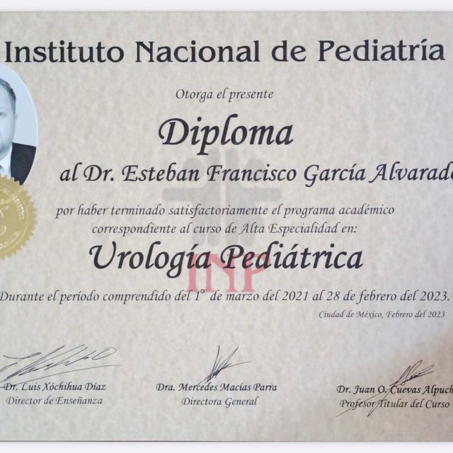 Ampliar imagen: certificate 4