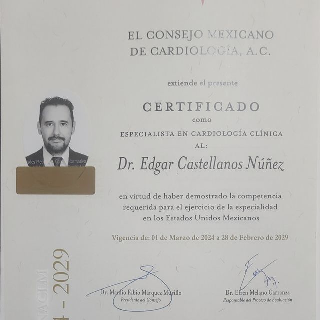 Ampliar imagen: certificate 1