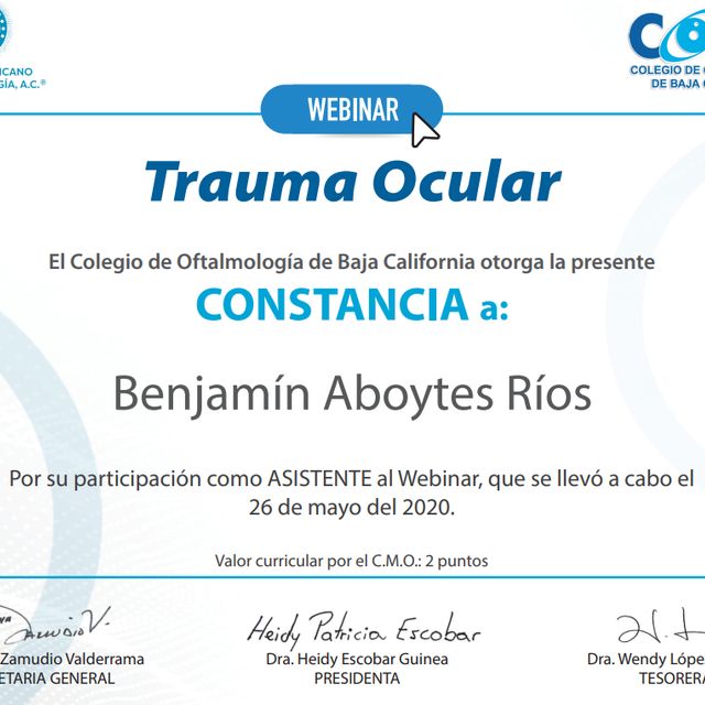 Ampliar imagen: certificate 4