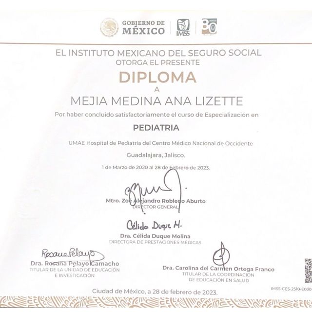Ampliar imagen: certificate 2
