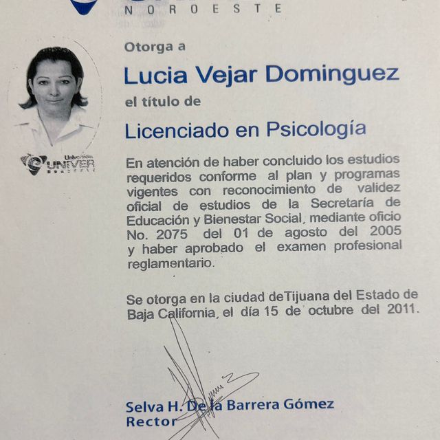 Ampliar imagen: certificate 1
