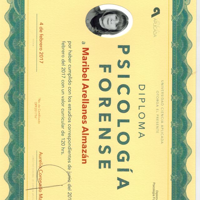 Ampliar imagen: certificate 6