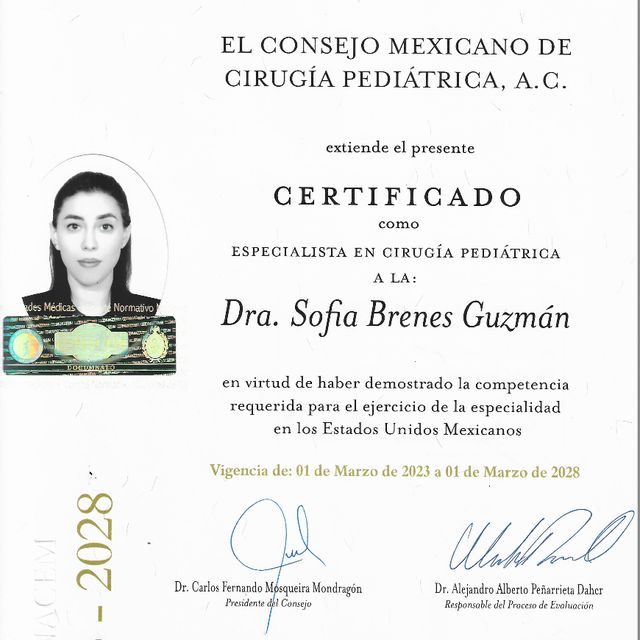 Ampliar imagen: certificate 7