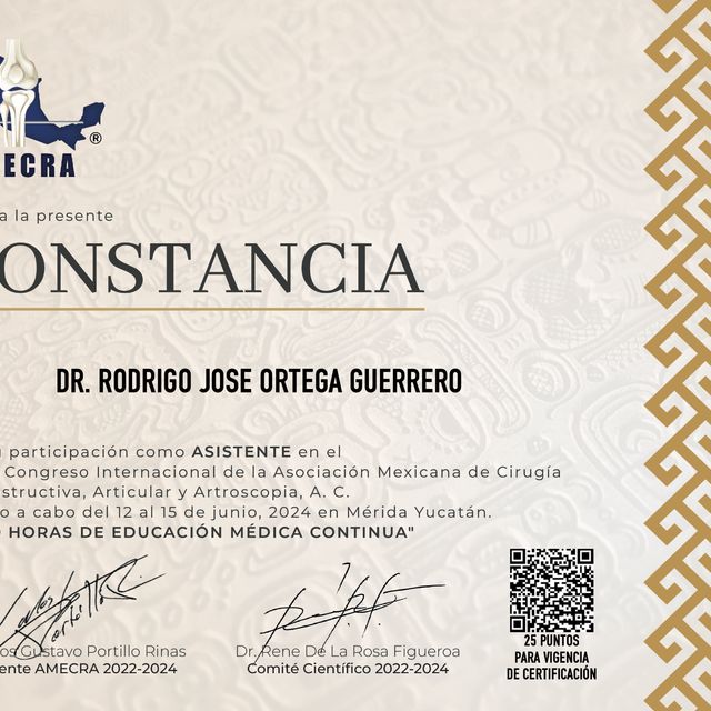 Ampliar imagen: certificate 5