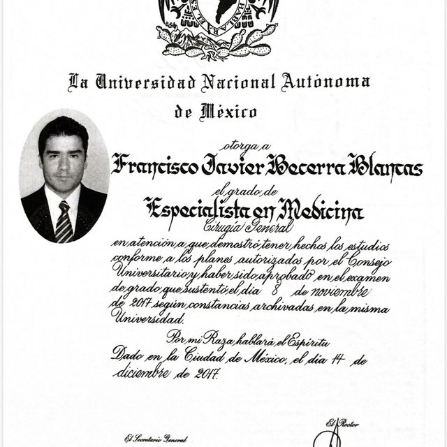 Ampliar imagen: certificate 3