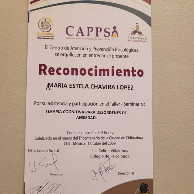 Ampliar imagen: certificate 3