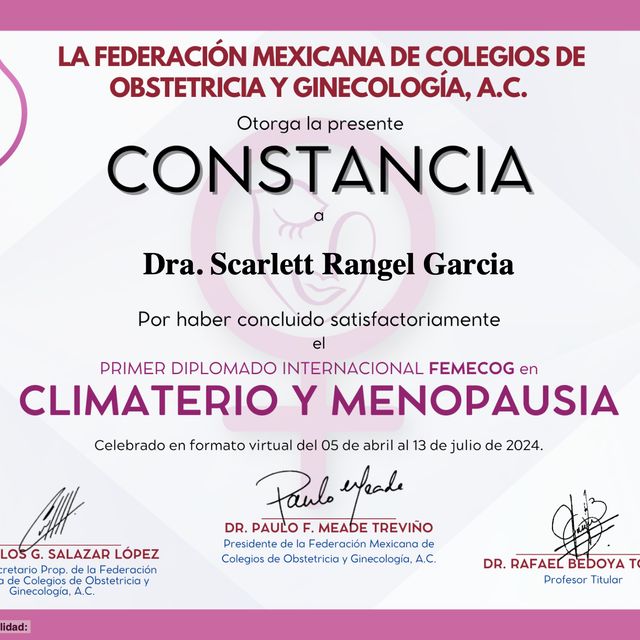 Ampliar imagen: certificate 1
