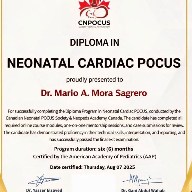 Ampliar imagen: certificate 12