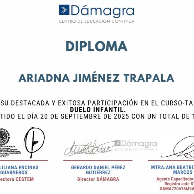 Ampliar imagen: certificate 5
