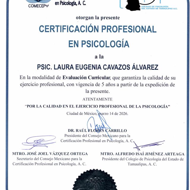 Ampliar imagen: certificate 1