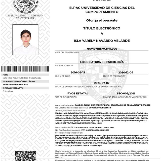 Ampliar imagen: certificate 3