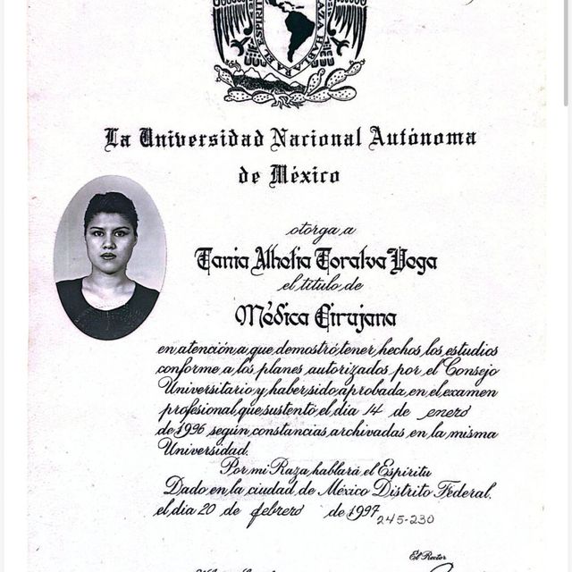 Ampliar imagen: certificate 5