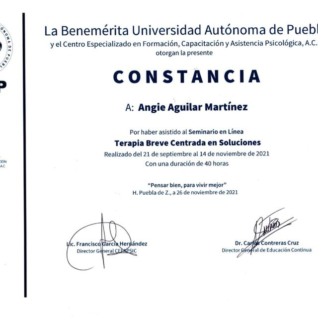 Ampliar imagen: certificate 1