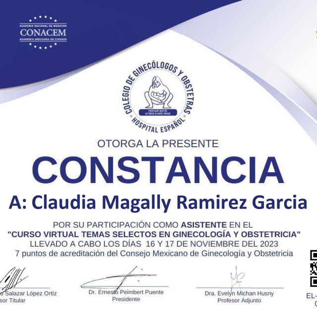 Ampliar imagen: certificate 13