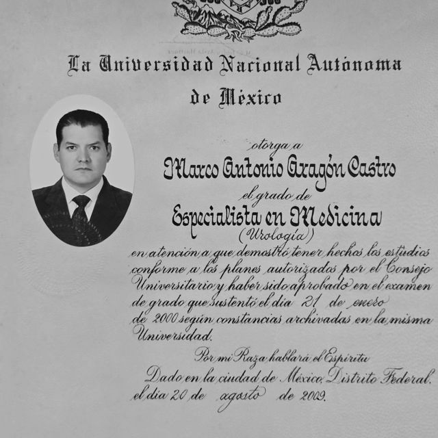 Ampliar imagen: certificate 3
