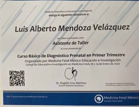 Ampliar imagen: certificate 1