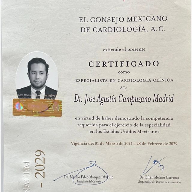 Ampliar imagen: certificate 1