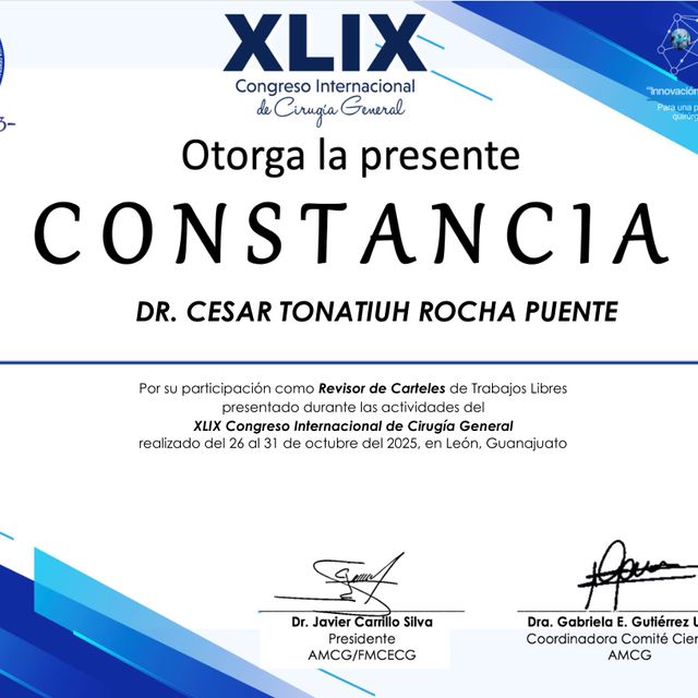 Ampliar imagen: certificate 43