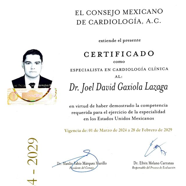 Ampliar imagen: certificate 1