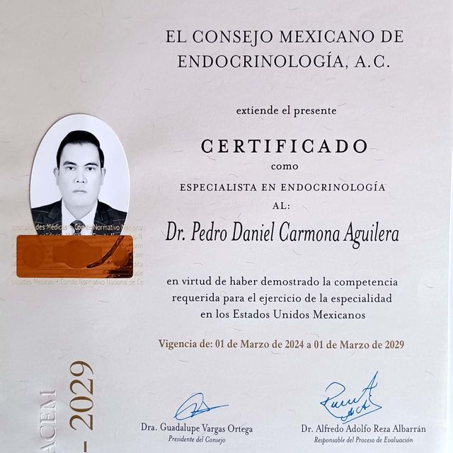 Ampliar imagen: certificate 1