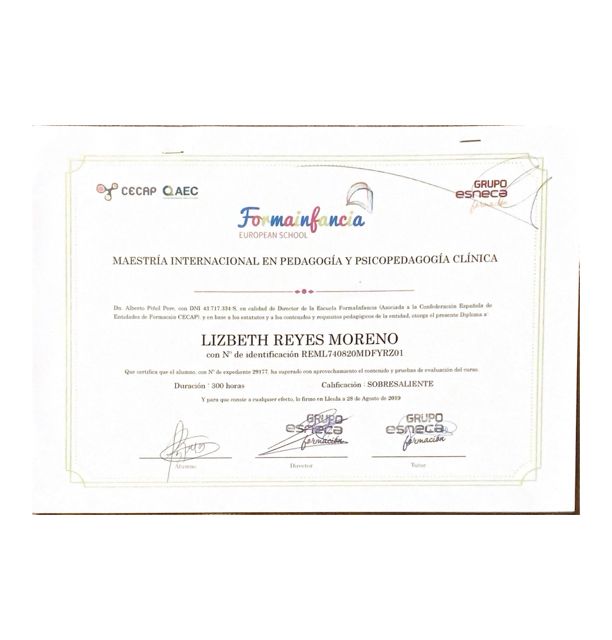 Ampliar imagen: certificate 5