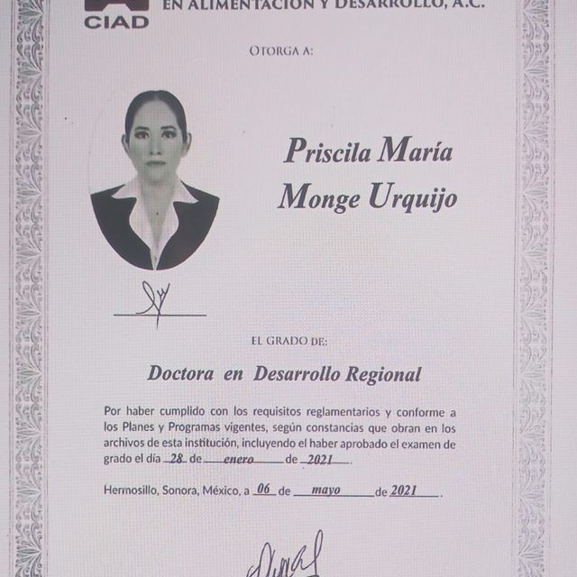 Ampliar imagen: certificate 4