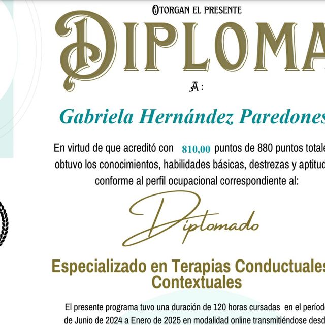 Ampliar imagen: certificate 5
