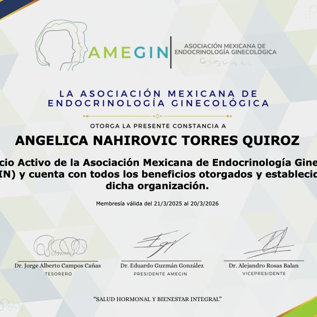 Ampliar imagen: certificate 6