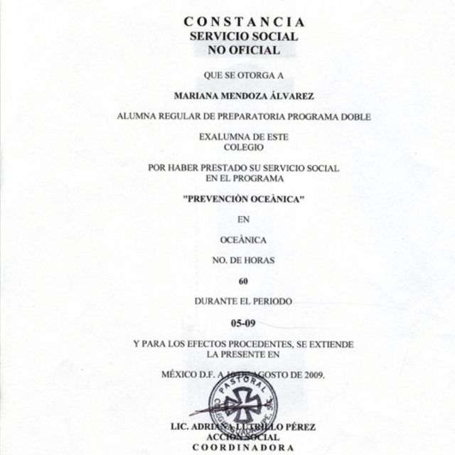 Ampliar imagen: certificate 10