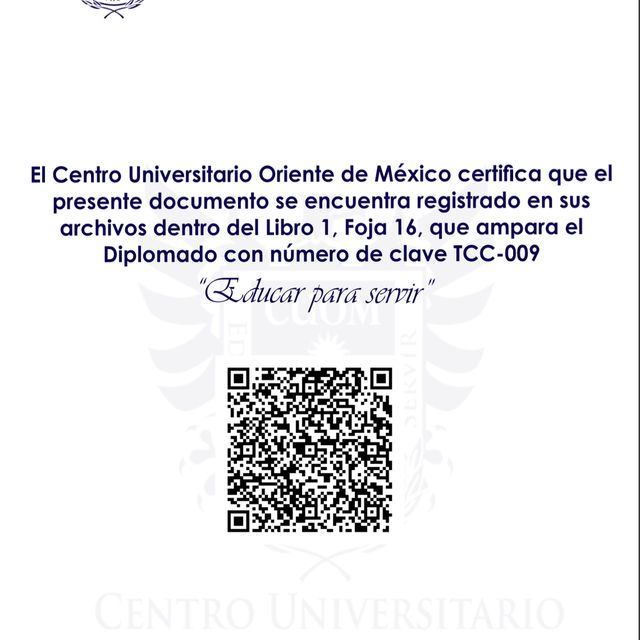 Ampliar imagen: certificate 1