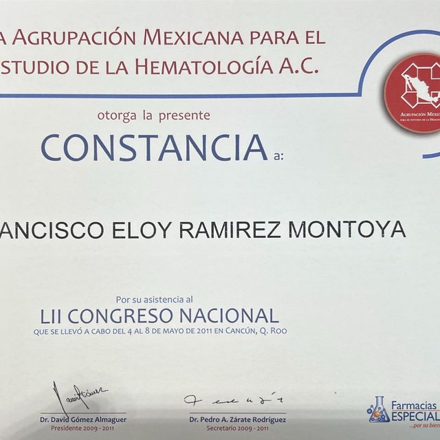 Ampliar imagen: certificate 31