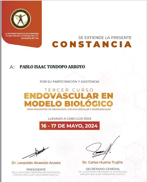 Ampliar imagen: certificate 3