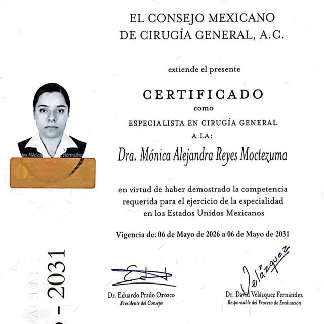 Ampliar imagen: certificate 1