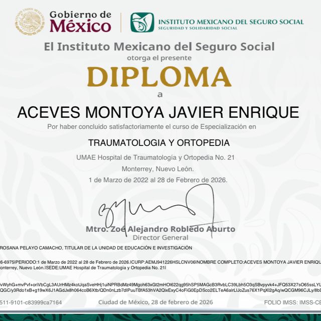 Ampliar imagen: certificate 2